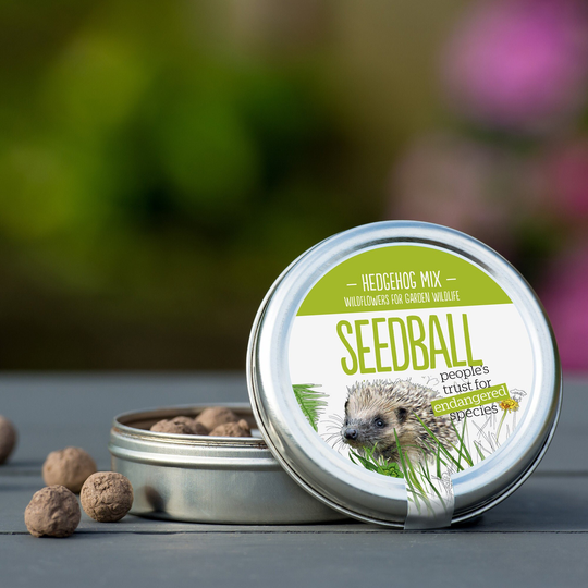 Hedgehog Seedball Garden Wildflower Seed Mix Tin For Wildlife