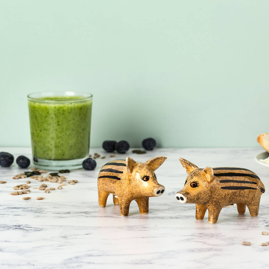 Wild Boar Piglet Salt And Pepper Shakers