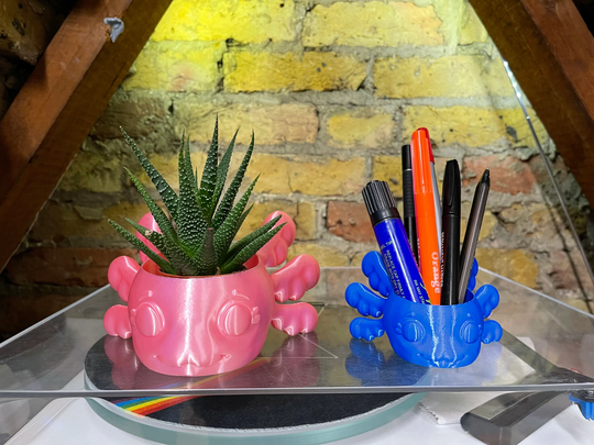 Axolotl Pen Pot Planter Container Houseplant Cactus Succulent