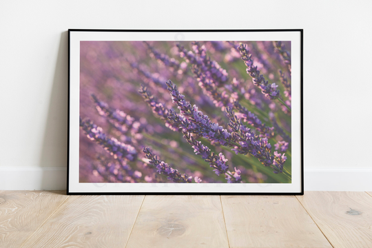 Lavender Print, Bunch Art, Modern Floral Minimalist, Nature Inspired Prints, Natural Decor, Cottagecore Prints