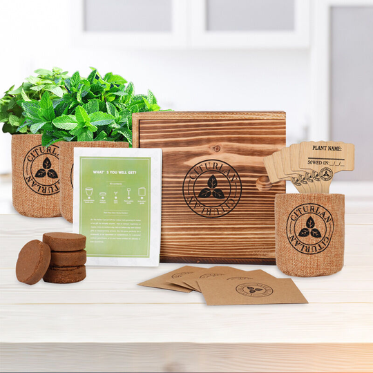 Benobby Kids - Culinary Herb Garden Kit - Easily Grow Culinary Herbs - Herb Garden Growing Kit - Kitchen Apartment Windowsill Growing Starter Kit-1pc