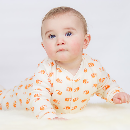 Organic Fox Pattern Babygrow