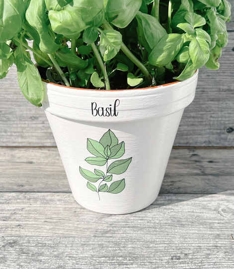 Basil Herb Terracotta Plant Pot. Kitchen Window Decor. Gardeners, Home Warming, Birthday Gift