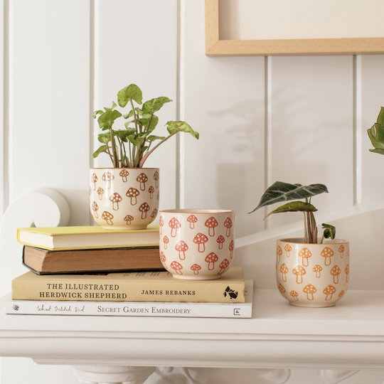 Mushroom Print Mini Planters