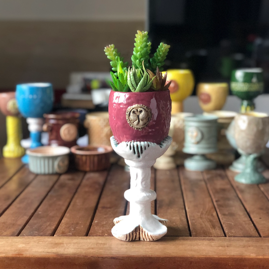 Succulent Cup Pot | Planter Cup Clay Succulent Cactus And