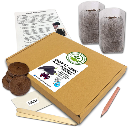 Grow Your Own Black Hungarian Chilli Kit | Flat Pack At Home - Ideal Birthday Gift, Great Fathers Day Gift