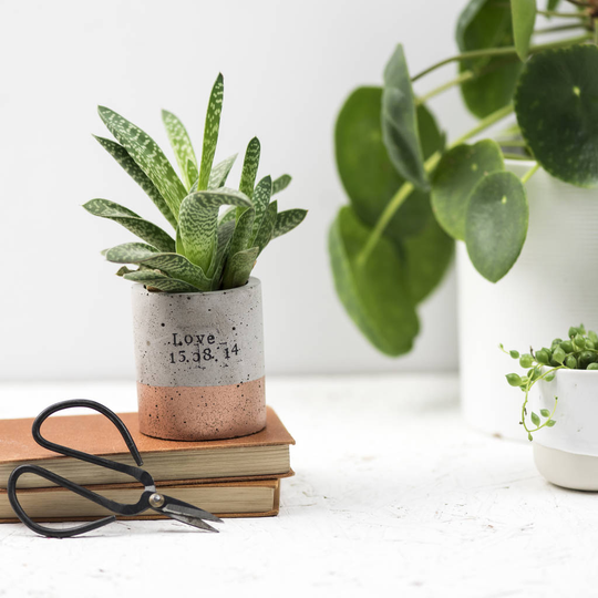 Personalised Copper Stripe Concrete Planter