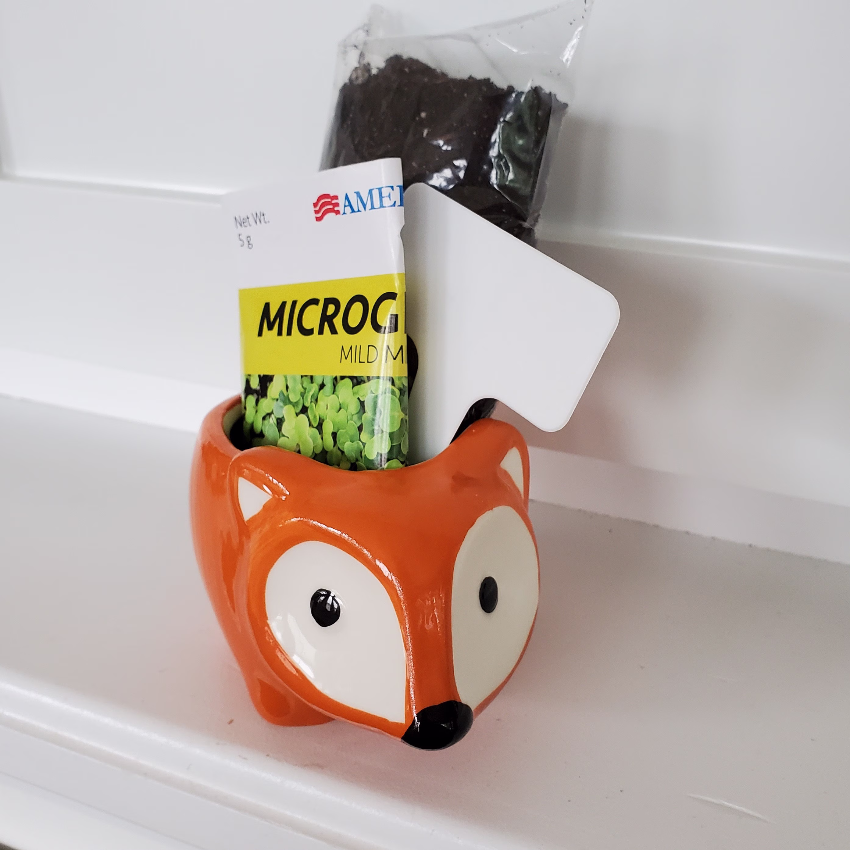 Sprouts in Fox Planter, Gardening Kit, Microgreen Seeds, Microgreens Gift, Animal Planter With Sprout Seeds