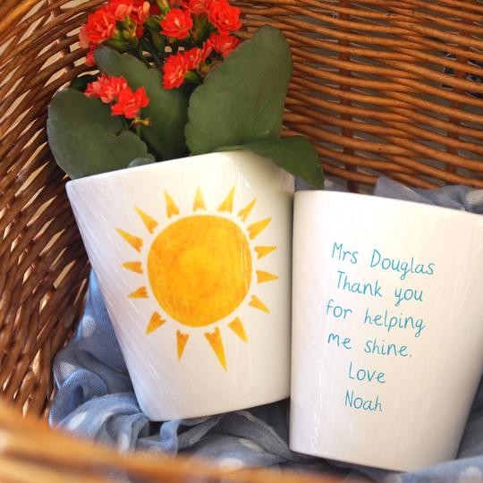 Sunshine Personalised Teacher Plant Pot With Seeds