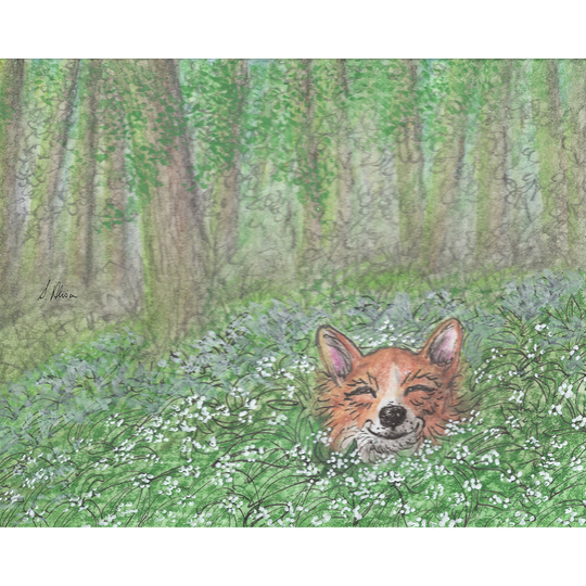 Welsh Corgi Dog 5x7 8x10 Inch Prints Poster Wild Garlic Outdoor Vegetable Season Flower From Susan Alison Watercolour Painting Stinking Rose