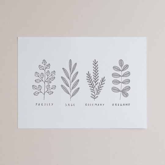 Hand Drawn A Collection Of Herbs Print