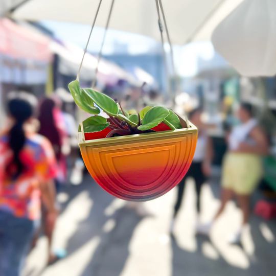 Hanging Rainbow Planter, 3D Printed Cute Minimal Gift