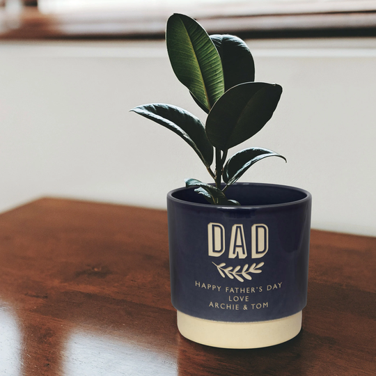 Personalised Father's Day Gift | Dads Engraved Indoor Plant Pot For Fathers New & Grandads
