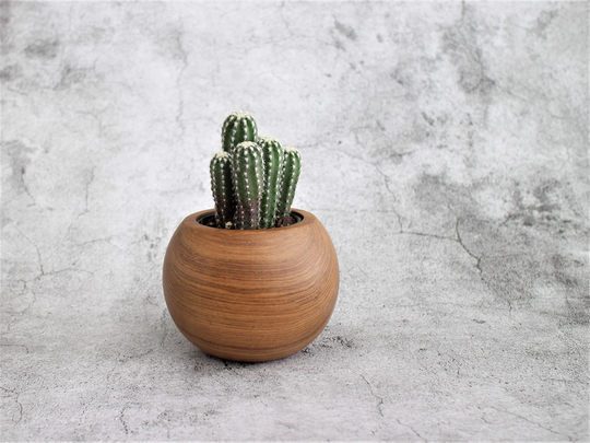 Teak Wood Sphere Planter