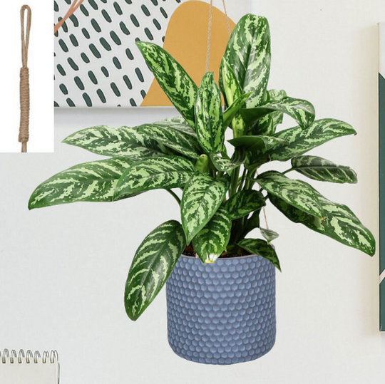 Grey Honeycomb Style Handmade Concrete & Stone Hanging Pot Planters With Recycled Rope For Trailing Cascading Vining Plants Pothos Ivy