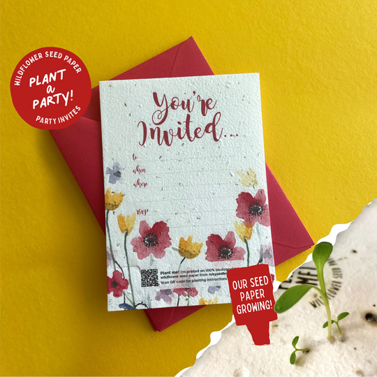 Seed Paper Party Invitations/Garden Grow British Wildflowers Eco-Friendly Invites