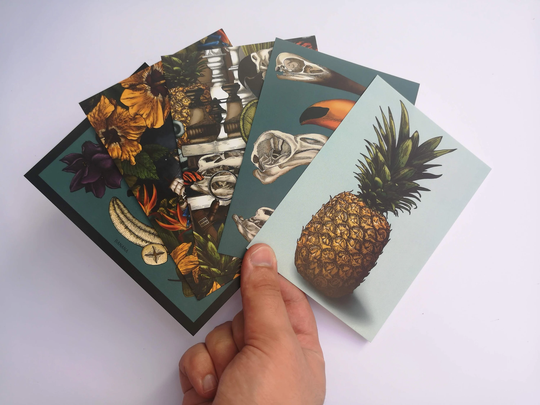Set Of 5 Postcards Notecards Tropical Discoveries Poscards Pineapple Ship Nortical Hibiscus Flowers Skulls Gothic Curio Pack