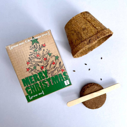 Grow Me Christmas Tree Gift Box