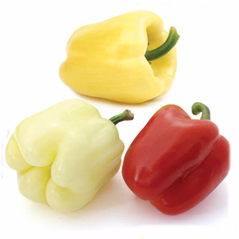 Sweet Pepper Szegedi Giant Seeds Heirloom Non Gmo For Planting | 204627