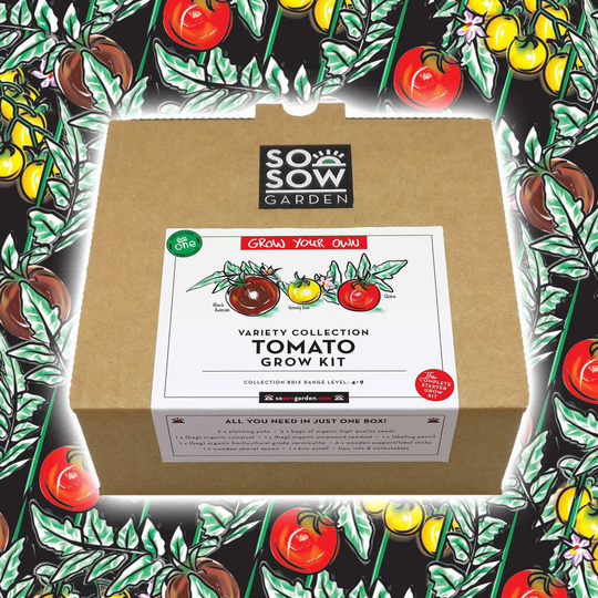 Tomato Variety Grow Your Own Kit Volume One