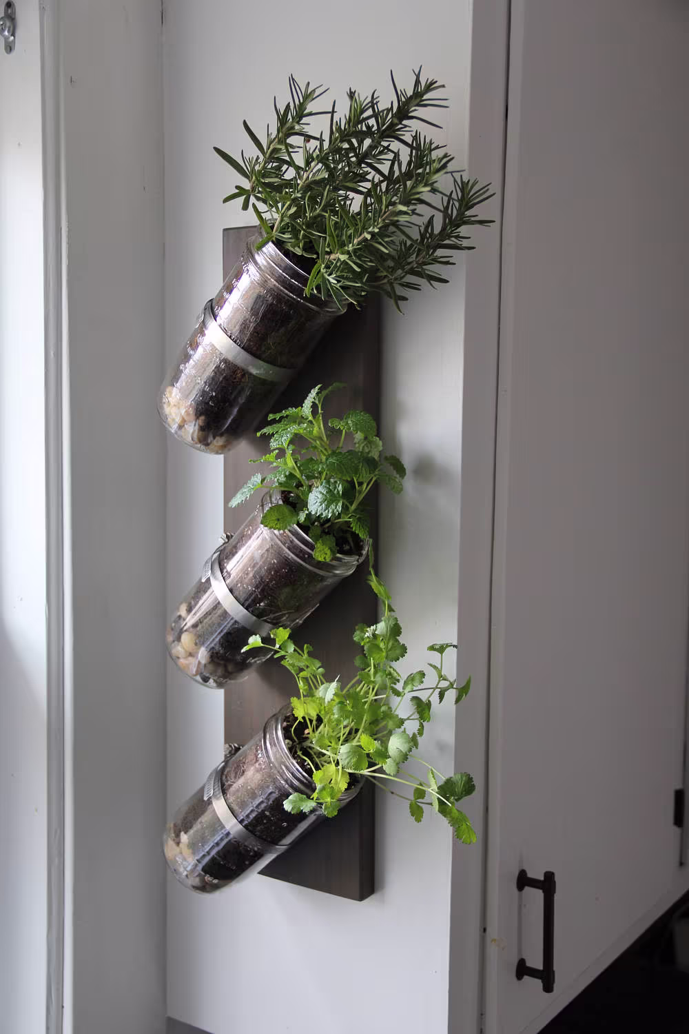 Indoor Herb Garden // Mason Jar Mason Decor Planter