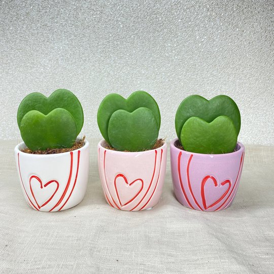 Heart Painted Gloss Ceramic Planter - White/Pink/Purple Cute Gift Or Wedding Favour