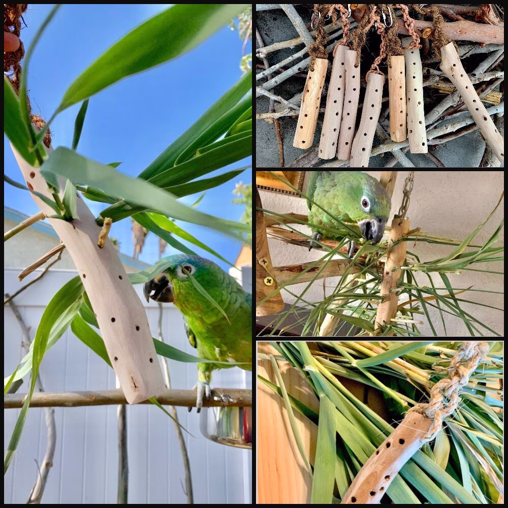 Real Foraging Toy 100% Organic Parrot Foraging Toy Eucalyptus & Bamboo Hand-Made in The Usa Bring Outside, In Cockatiel