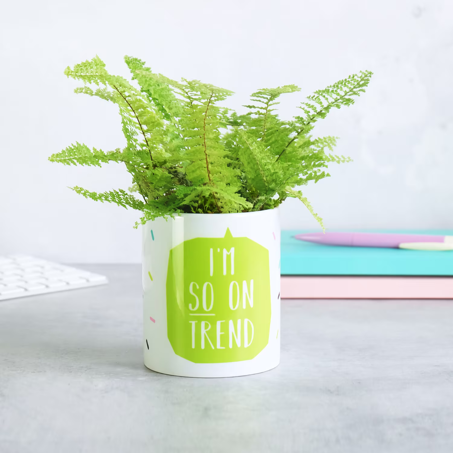 Indoor Plant Pot - I'm So On Trend
