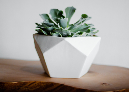 Geodesic Porcelain Planter, White Ceramic Modern Geo Pentagon