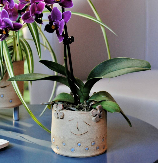 Personalised Ceramic Plant Pot Smiley Face