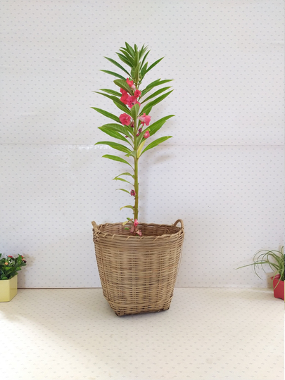 Vintage Wicker Basket, Plant Pot Magazine Rack