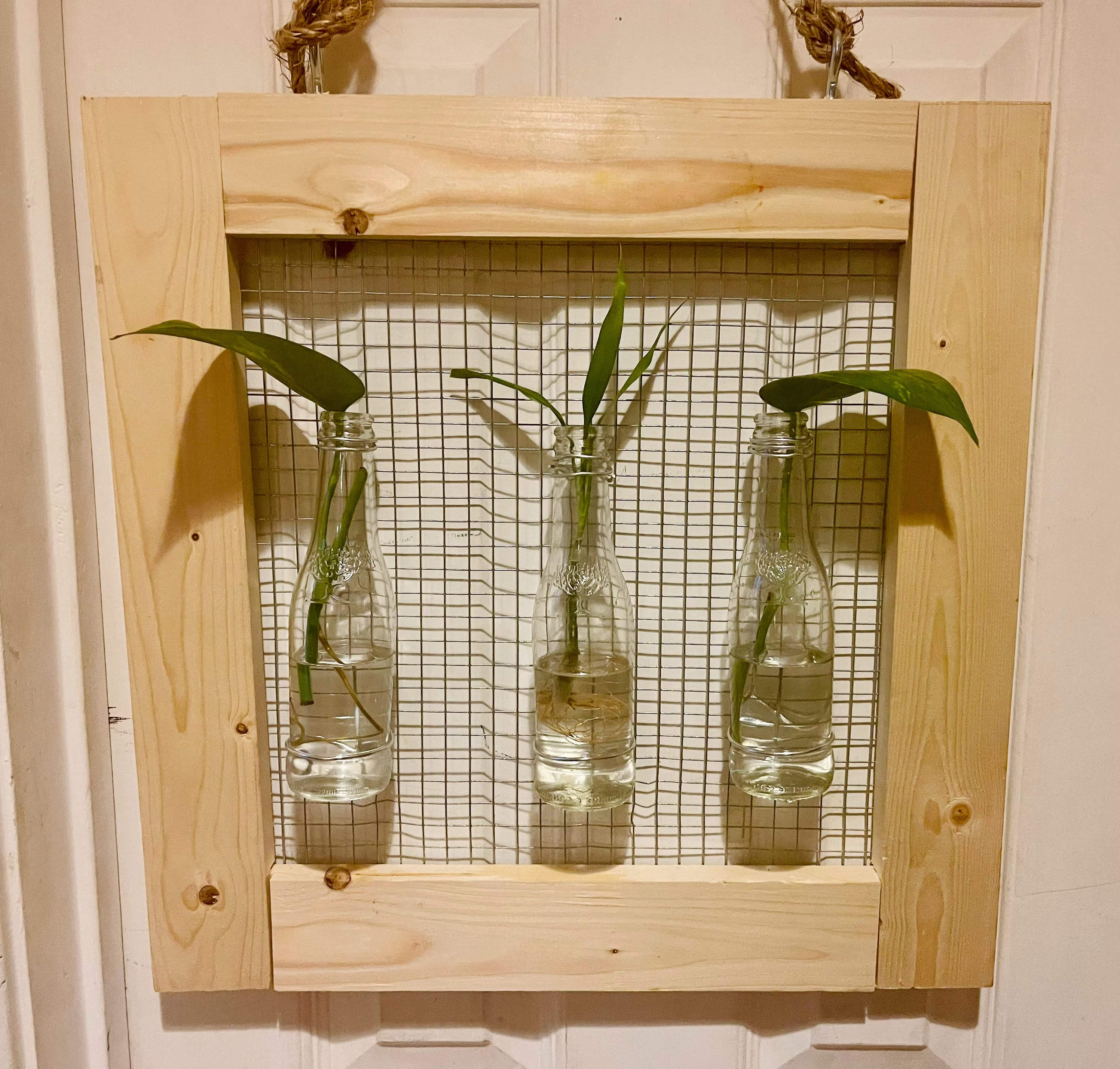 Handcrafted Hanging Wooden Propagation Station