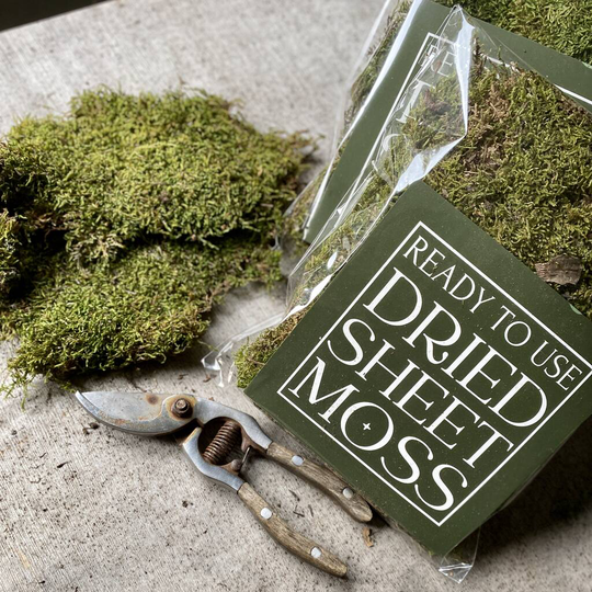 Dried Sheet Moss
