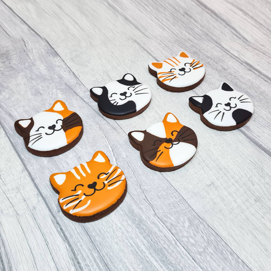 Cat Lover Luxury Biscuit Gift Box, Hand Iced Biscuits