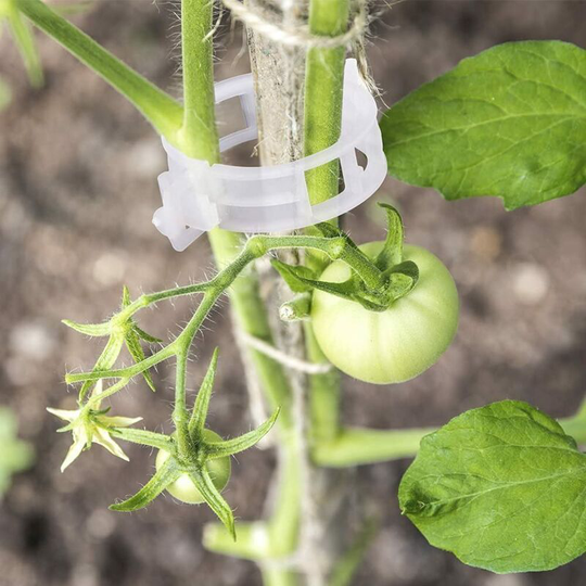 100 pz Garden Plant Clips Flower Clip Ideal for Securing Plants to Plant Supports - White