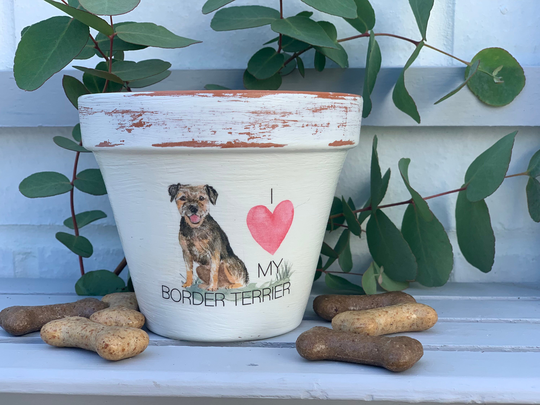 Personalised Border Terrier Dog Plant Pot Gift .dog Memorial Keepsake Flower Planter. Dog Lovers Gift. Birthday Pet Pot