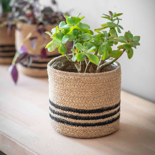 Striped Jute Planter