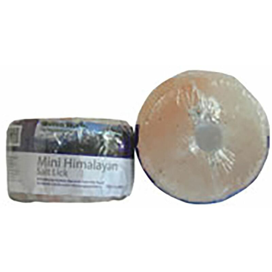 Himalayan Rock Salt Lick - Mini x 750 Gm - 25980 - Hilton Herbs