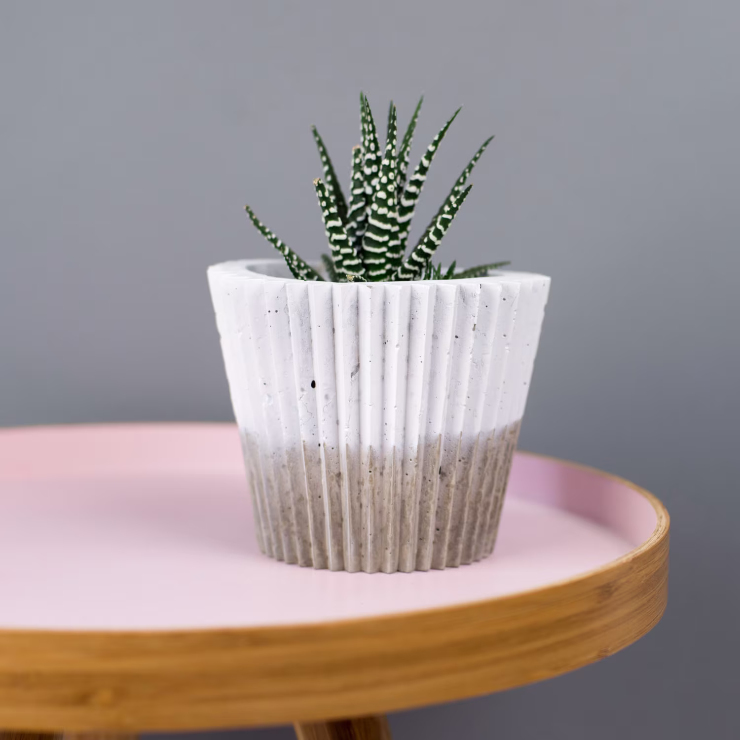 White Plant Pot - Monochrome Crinkle Concrete Planter Plant Pot Planter- Cactus