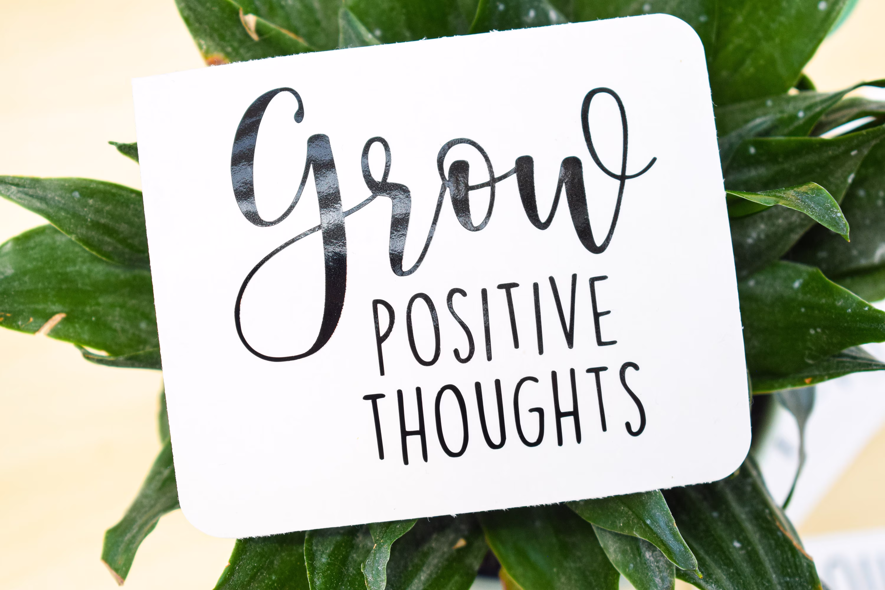 Grow Positive Thoughts | Planter Decal Only Affirmations Great To Customize Your Own Planter Gift For Plant Lovers