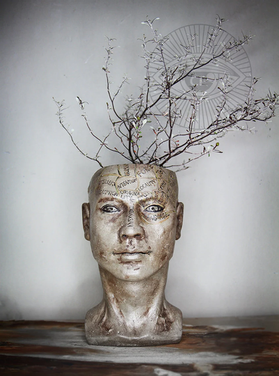 Victorian Phrenological Head Flower Pot