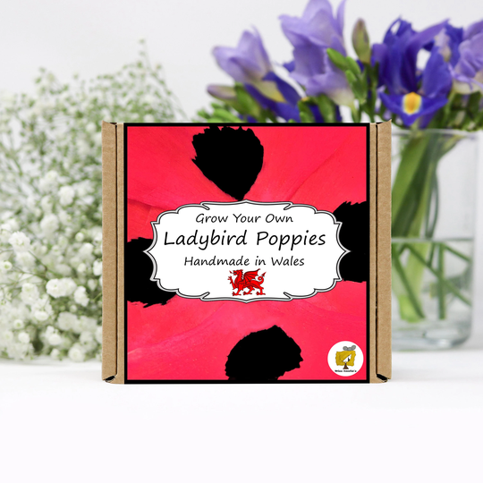 Grow Your Own Ladybird Poppy Flowers Kit. Seeds Growing Kit. Gardening Gifts For Women, Men, Him, Her, Grandad & Children