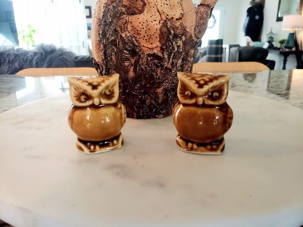 Vintage Googly-Eyed Owl Salt & Pepper Shakers, Mid-Century Ceramic Hand-Painted Brown & Shaker Set, Gift