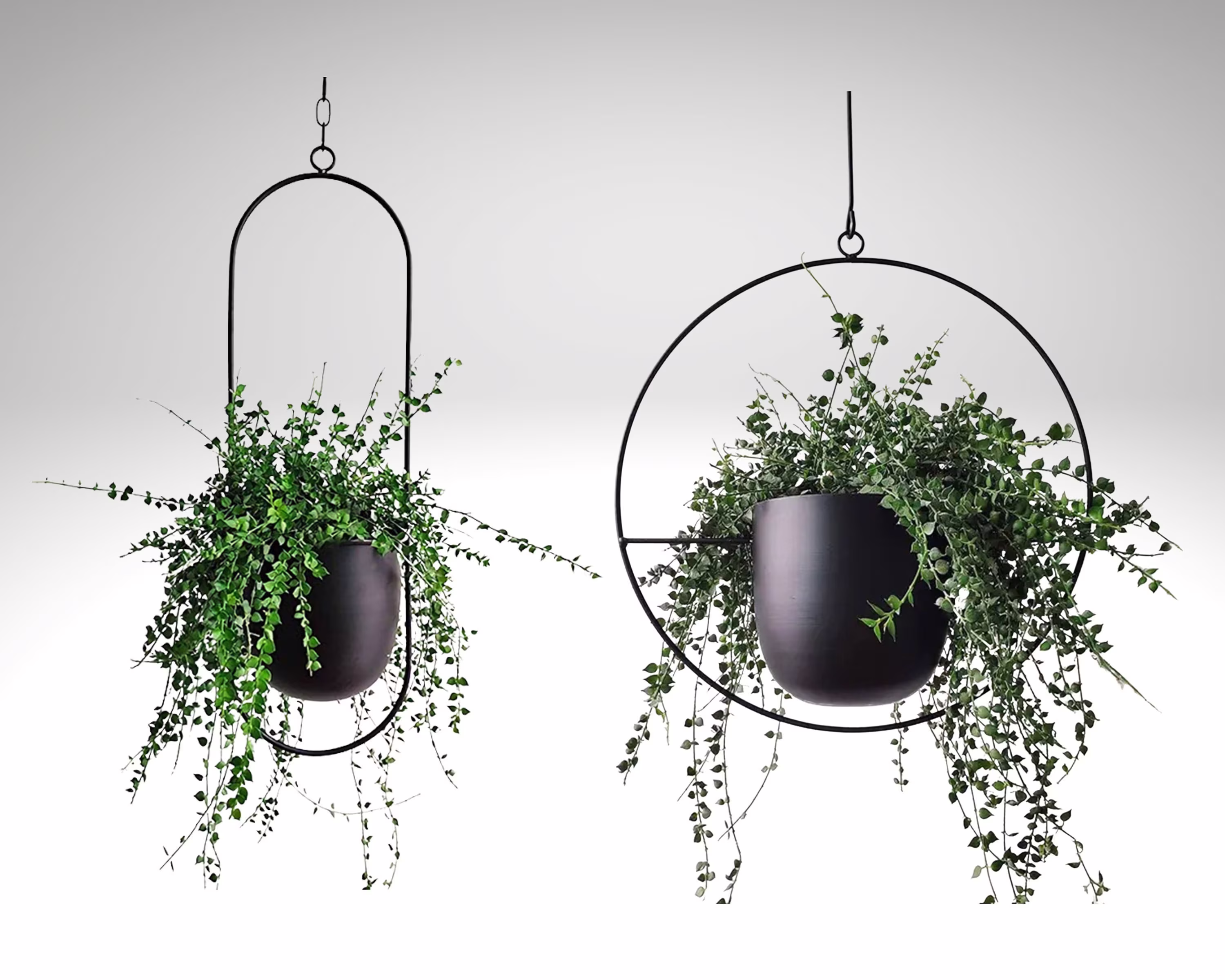 Pack Of 2 Metal Hanging Flower Basket, Iron Planter Pot, Round & Oblong Basket