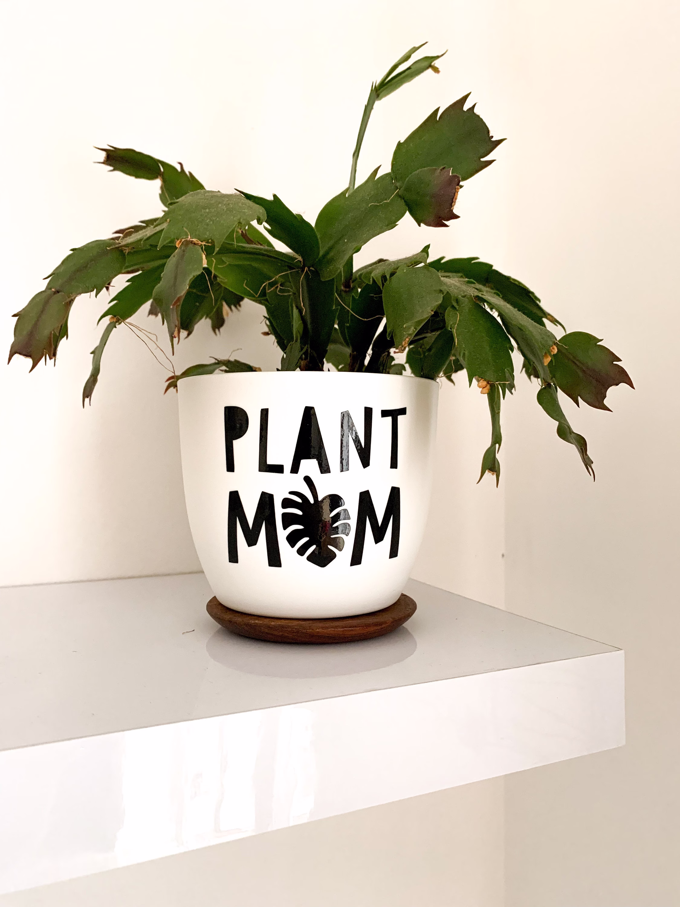 Plant Mum/Mom Planter, Personalised House Pot, Self-Watering Design, Flowers, Gardening Accessories, Gifts For Her, Home Office