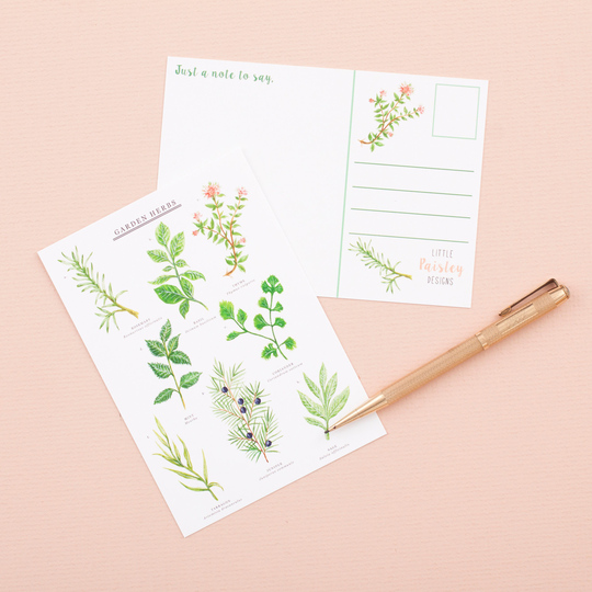 Garden Herbs Postcard | Herb Print Nature Art Botanical Correspondence Notecard Little Paisley Designs