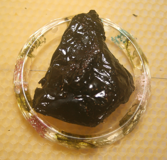 stinging Nettle Resin Extract | Urtica Dioica 100% Pure With No Additives