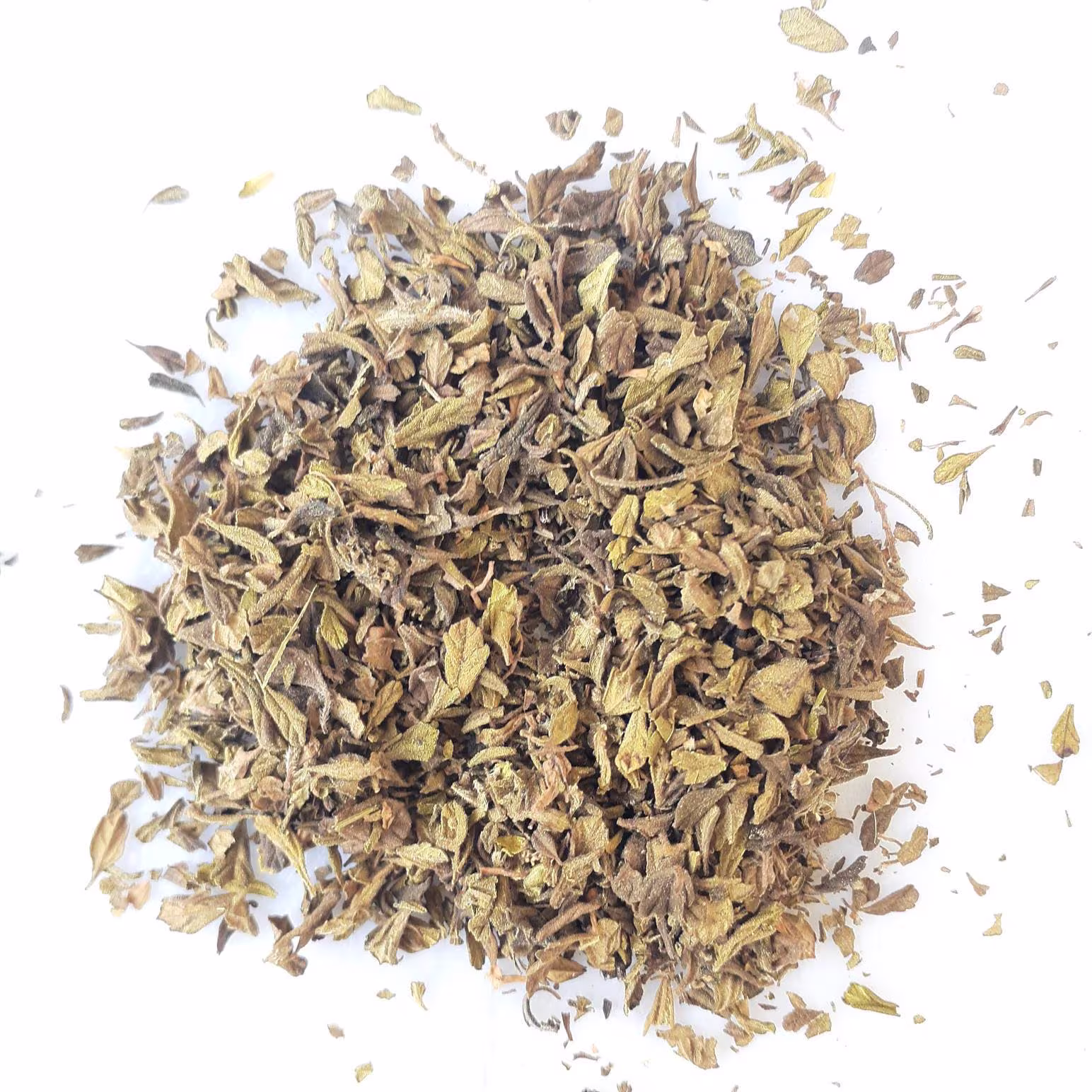 Oregano Dominicano Cosechado En Rep Dom Dominican Grown in Republic