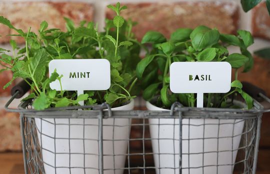 Plant Marker - Herb Sign Gardener Stake Signs Basil Mint Sticks Garden