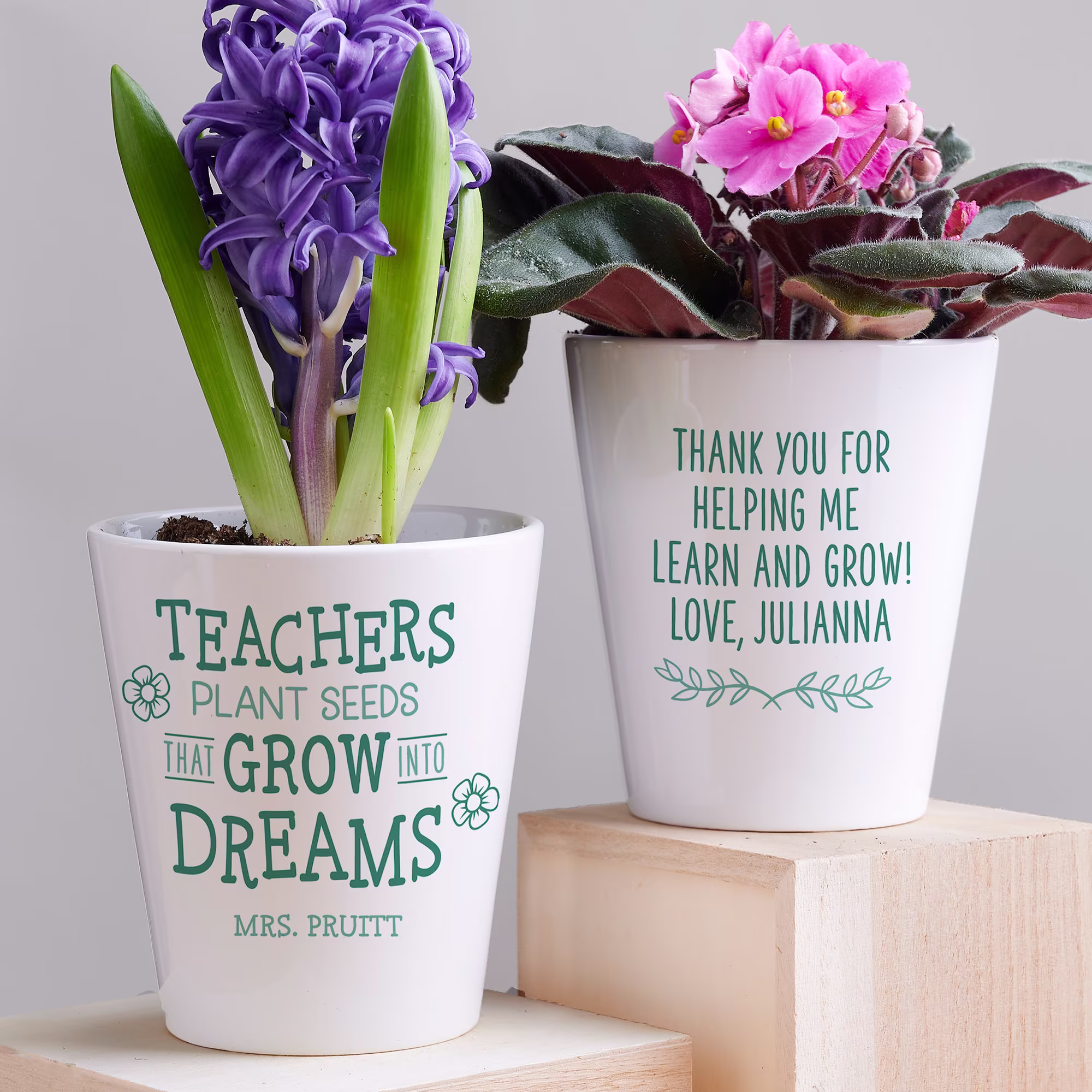 Growing Dreams Personalized Mini Flower Pot, Gifts For Teacher, Gardening Gift, Teacher Appreciation Back To School Teachers